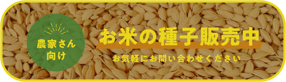 農家向けお米の種子販売中